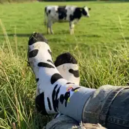 Sada Kravích Ponožek | 10 PÁRŮ [39-46]